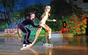 D0077